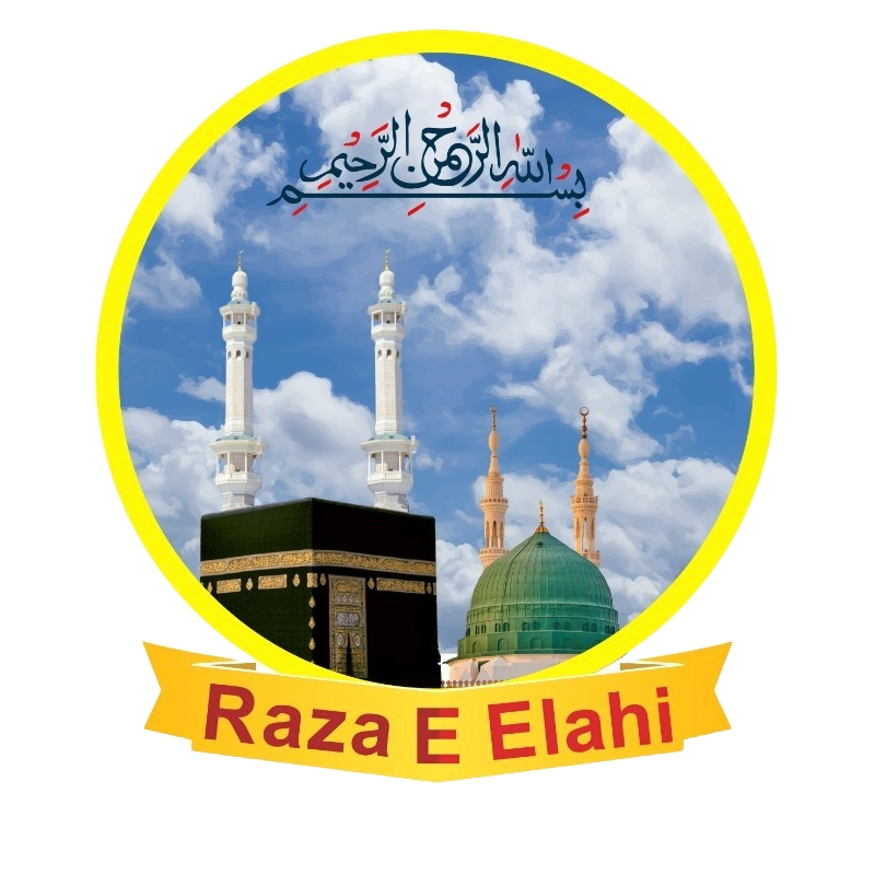 Raza E Elahi Quran Institue | Favicon
